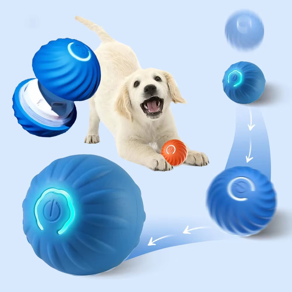 Dog Smarts Bouncing Ball Automatic Rolling Cats Ball Toy Interactive Dog Toys Pet Training Dog Interactive Toys for Dogs Home